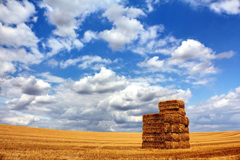 Effectively Storing Hay