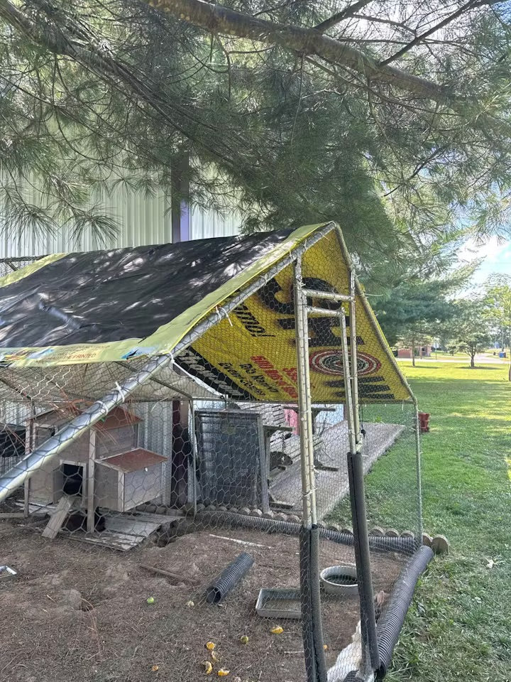 Heavy-duty upcycled billboard vinyl tarp used as a weatherproof roof cover for a backyard chicken coop with a wire frame